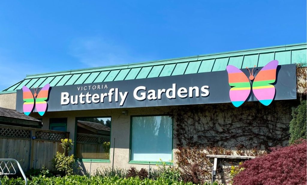 Outside of Victoria Butterfly Gardens in Brentwood Bay, BC