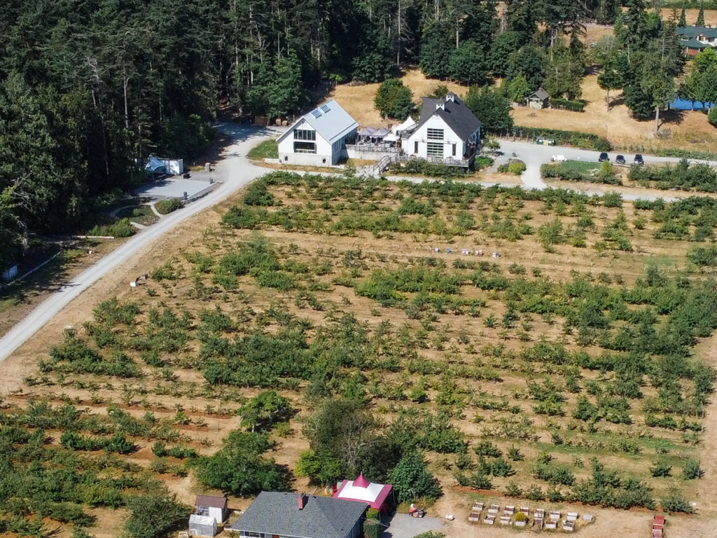 Cideries on Vancouver Island