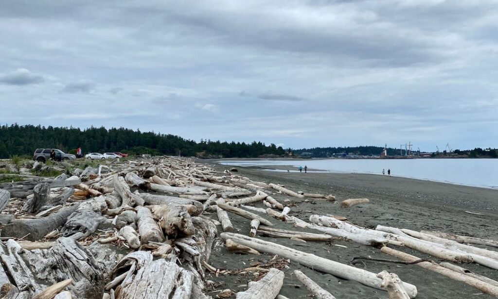 Beach at Esquimalt Lagoon in Victoria, BC