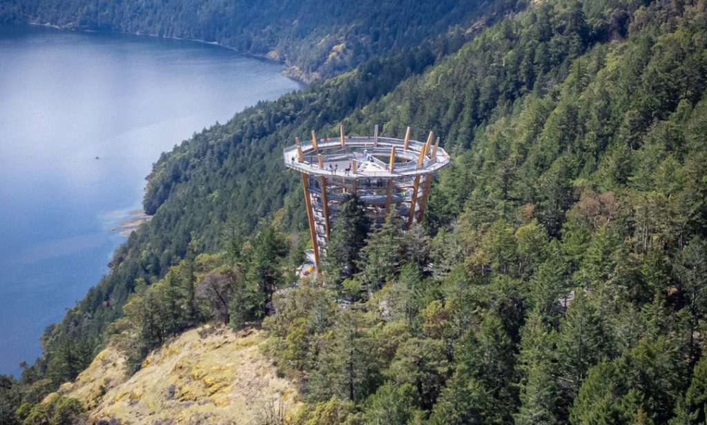 Malahat Skywalk drone view in BC, Canada