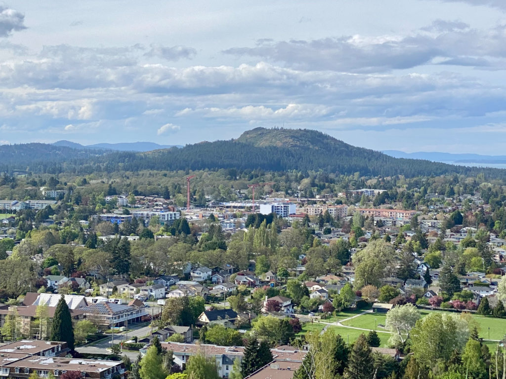 Mount Douglas View of Saanich