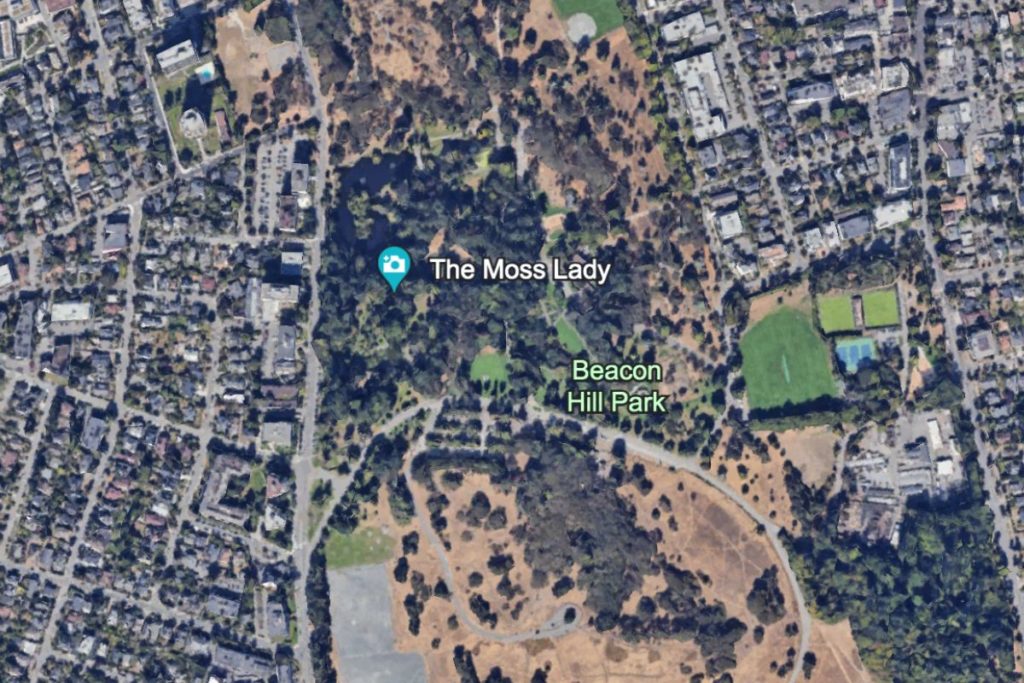 Google Earth Map view of the Moss Lady in Beacon Hill Park in Victoria,BC