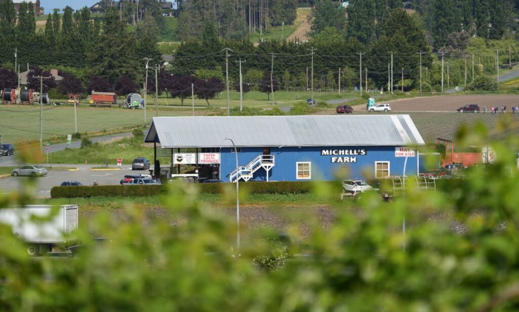 Field view of Mitchell’s Farm Market in Victoria, BC